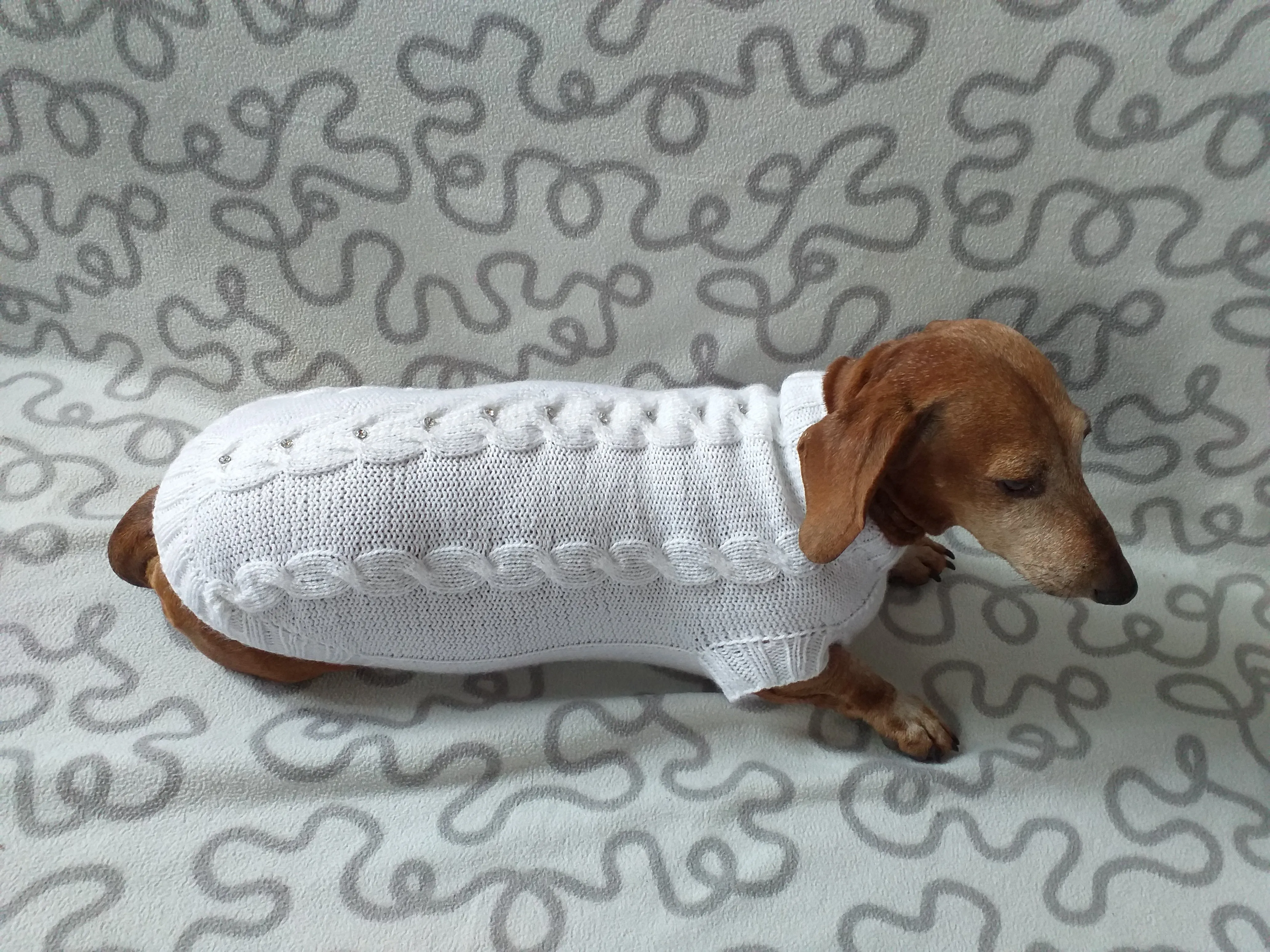 Dachshund Clothing: White Party Sweater, White Dachshund or Small Dog Sweater