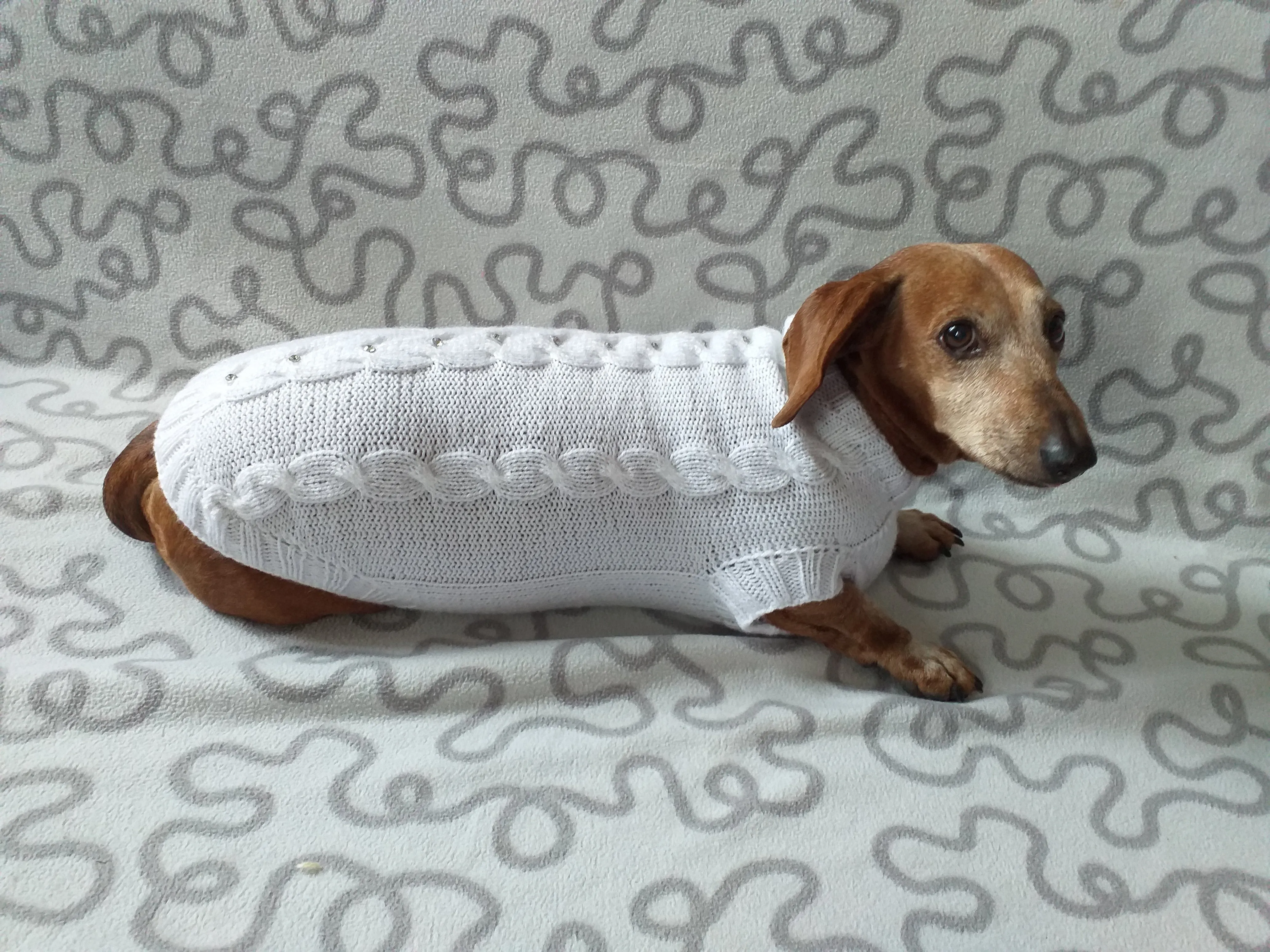 Dachshund Clothing: White Party Sweater, White Dachshund or Small Dog Sweater