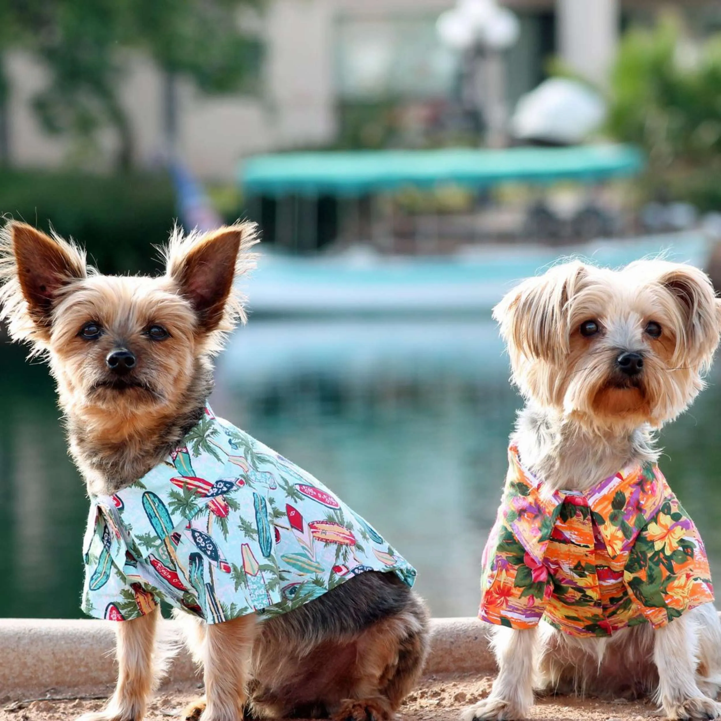 Hawaiian Camp Shirt | Surfboards & Palms