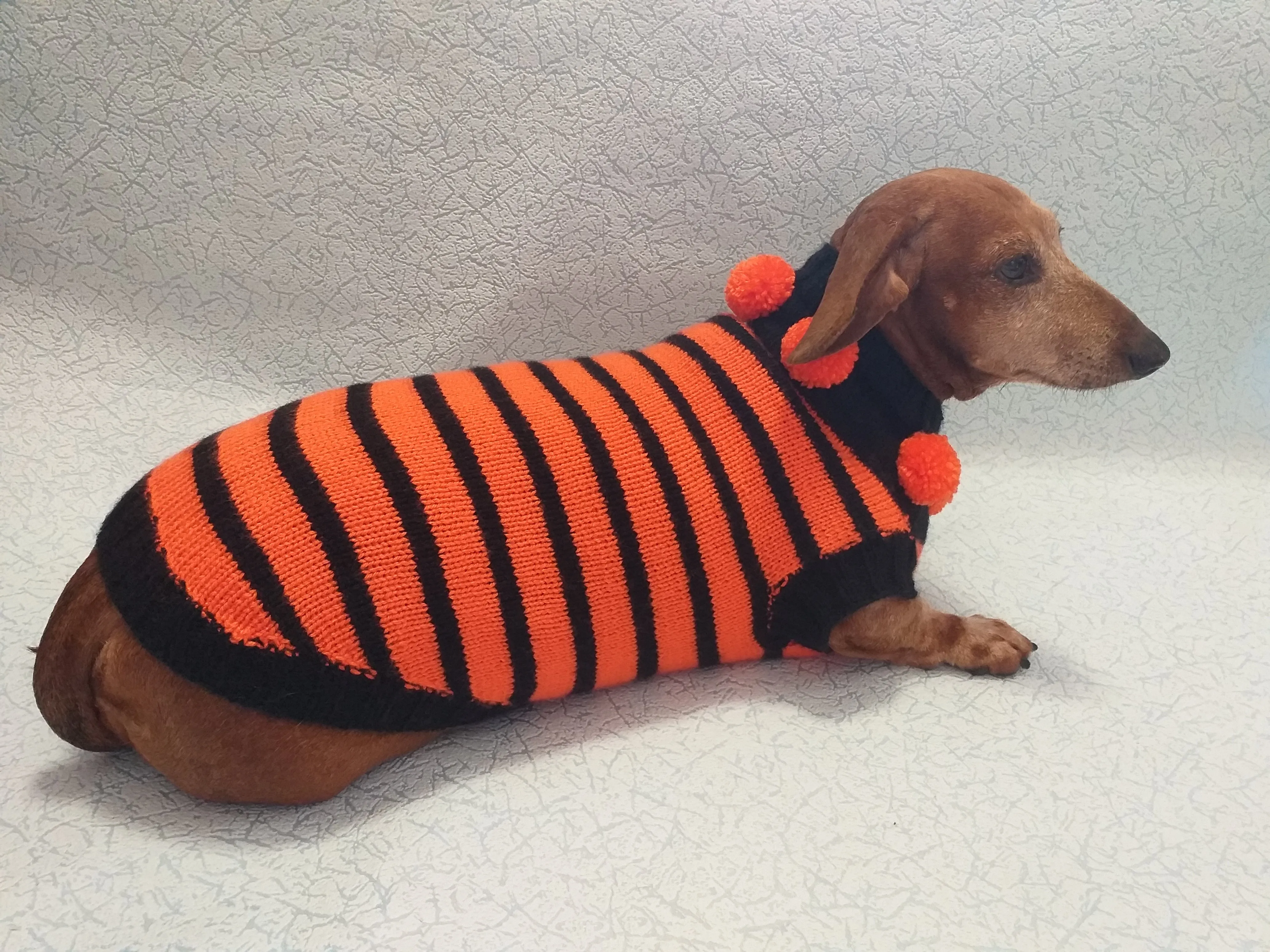 Orange and black striped knitted sweater with pompoms for dachshund or small dog