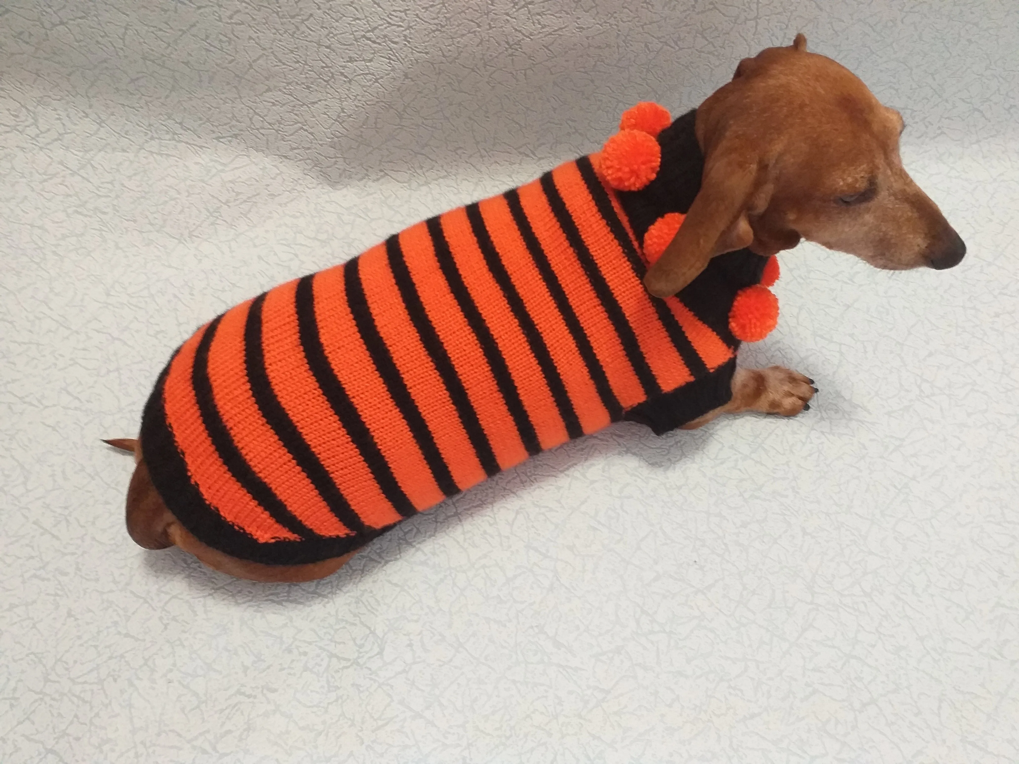 Orange and black striped knitted sweater with pompoms for dachshund or small dog