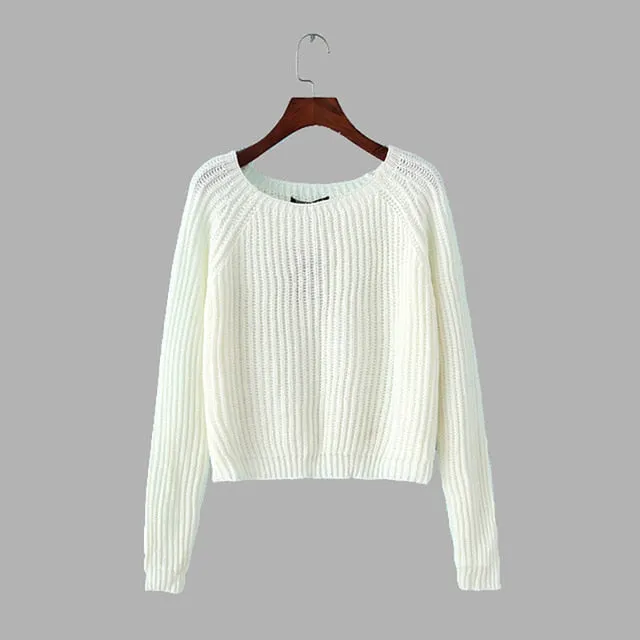 VenusFox side slit sweaters for women autumn winter knitted jumper